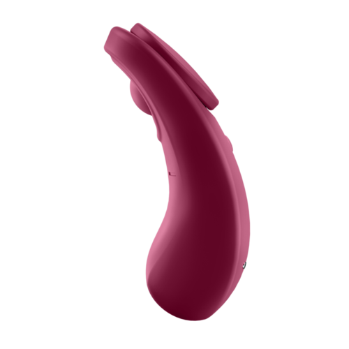 SATISFYER SEXY SECRET PANTY