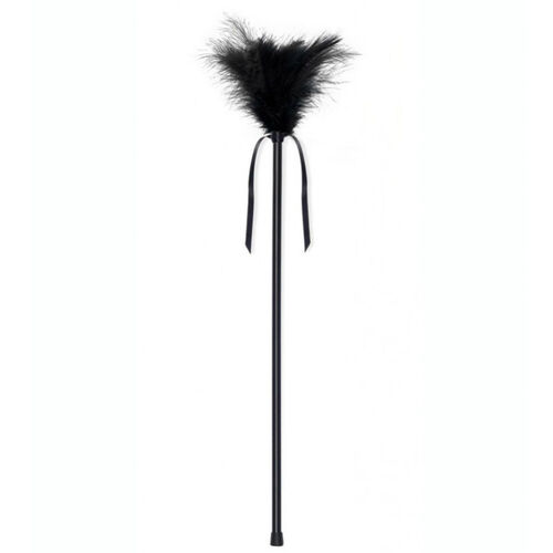 SECRETPLAY PLUMERO PLUMAS NEGRO 40CM